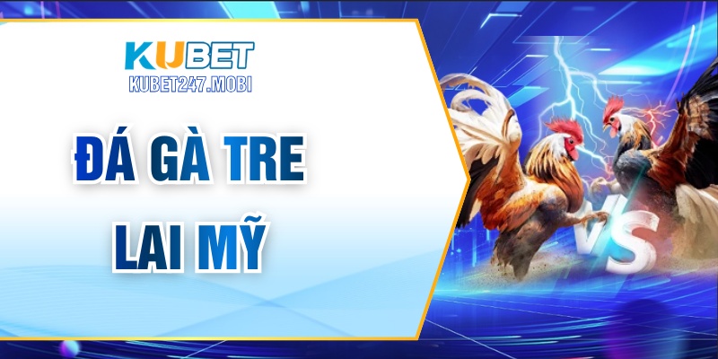Đá Gà Tre Lai Mỹ – Những Thông Tin Người Chơi Cần Biết