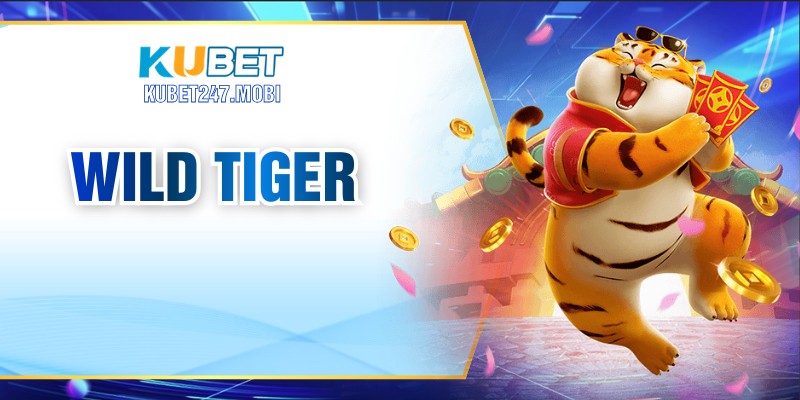 Wild Tiger – Trải Nghiệm Hoang Dã Hấp Dẫn Người Chơi